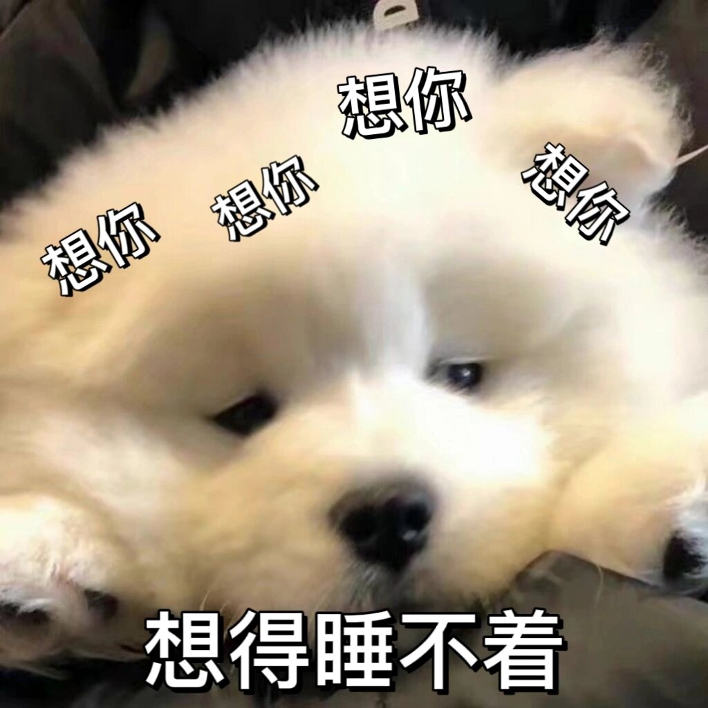 「表情包」发给对象的想你可爱小狗表情包