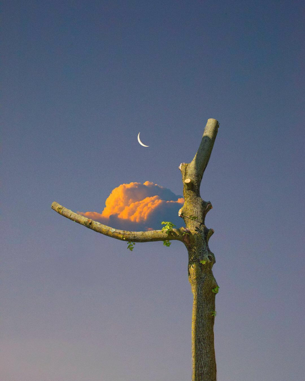 天空☁️云朵 头像/背景图分享 万尺高空蓝天白云是我的生活, 和