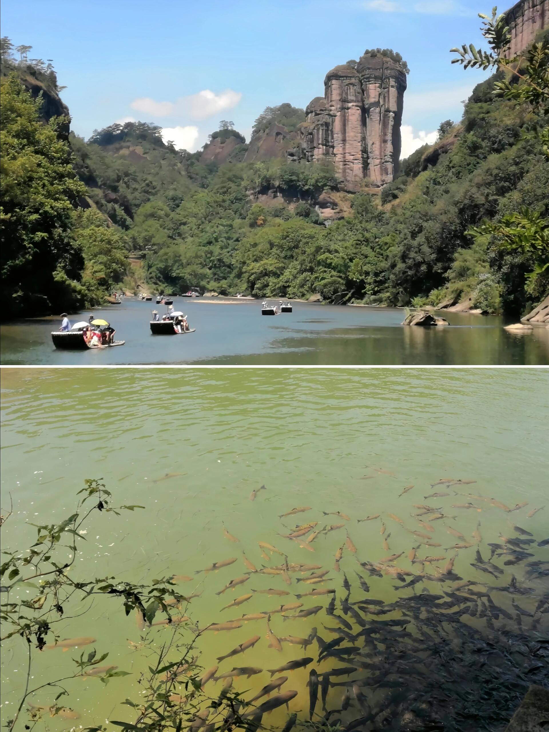 别小瞧了武夷山的玉女峰和大王峰