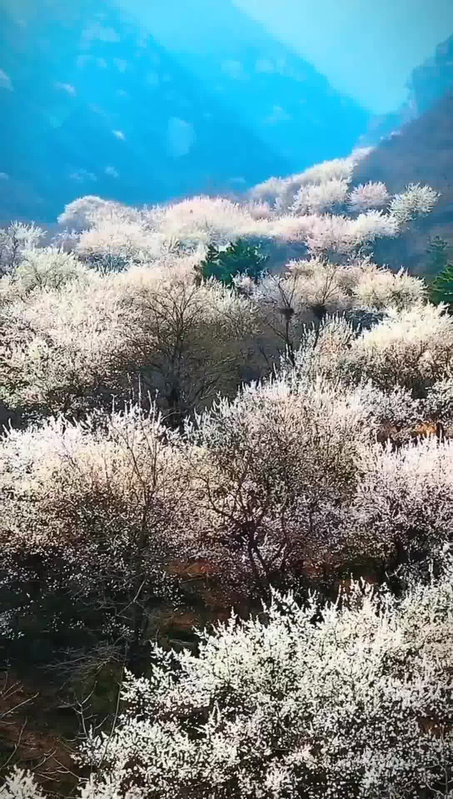 赞皇波浪坡一日游图片