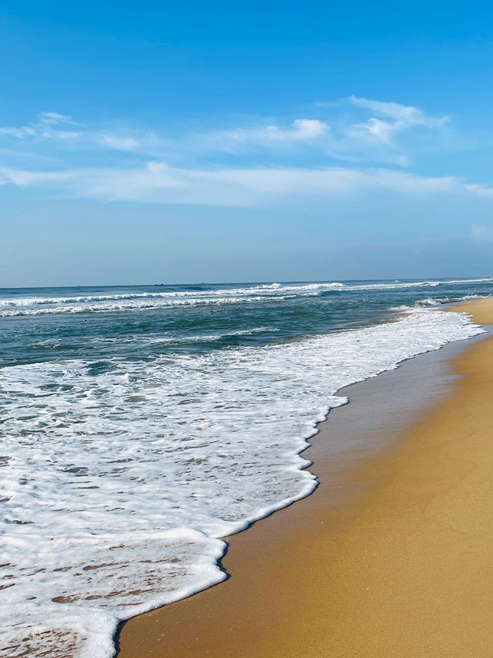 来看看会动的美丽大海04 发现小红书可以看动图啦和宝子们分享