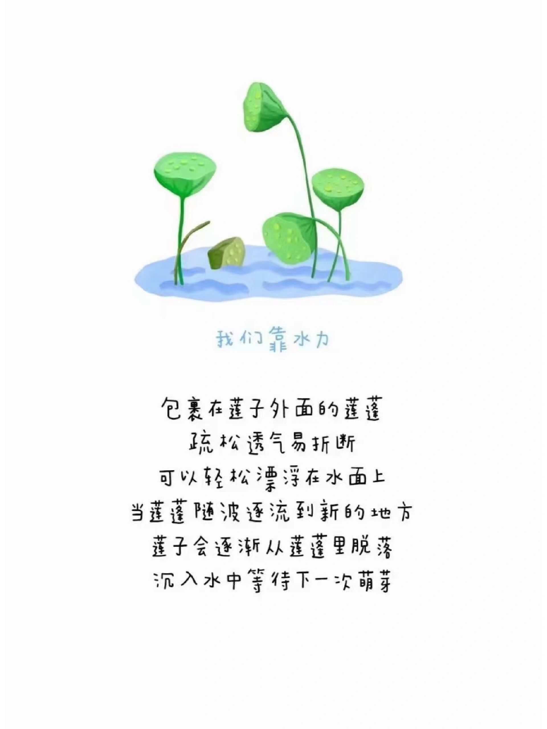 种子的传播图片与文字图片