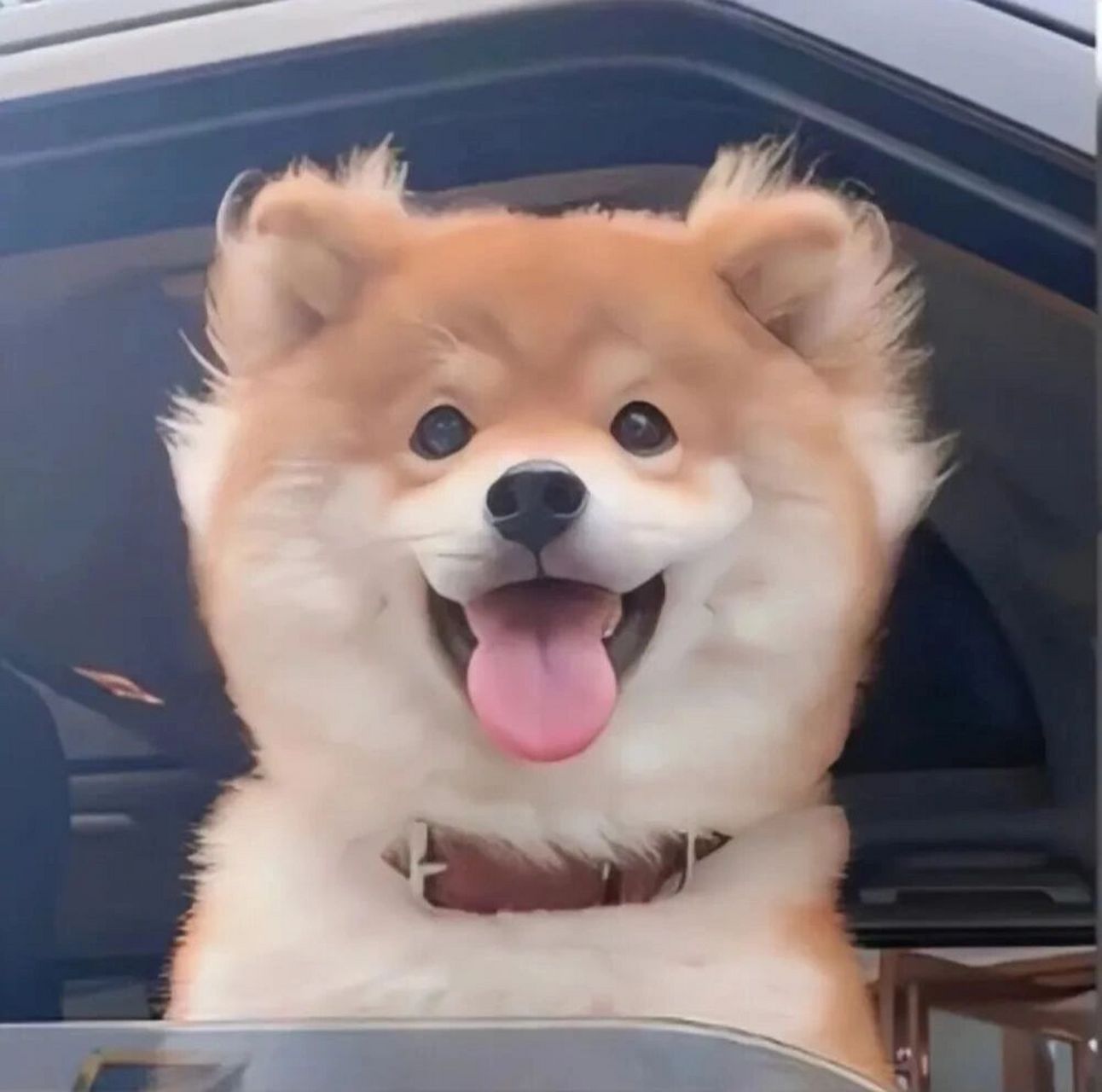 沙雕头像 搞笑男搞笑女必备