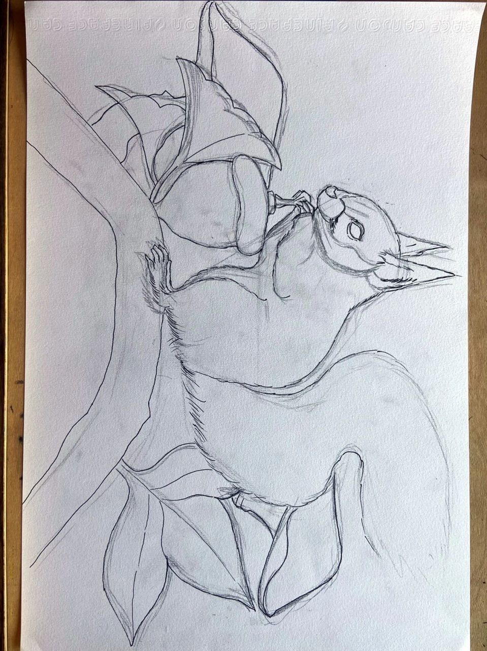 松鼠银杏枫叶线描彩铅创意美术 94银杏快黄了93天平山枫叶估计也