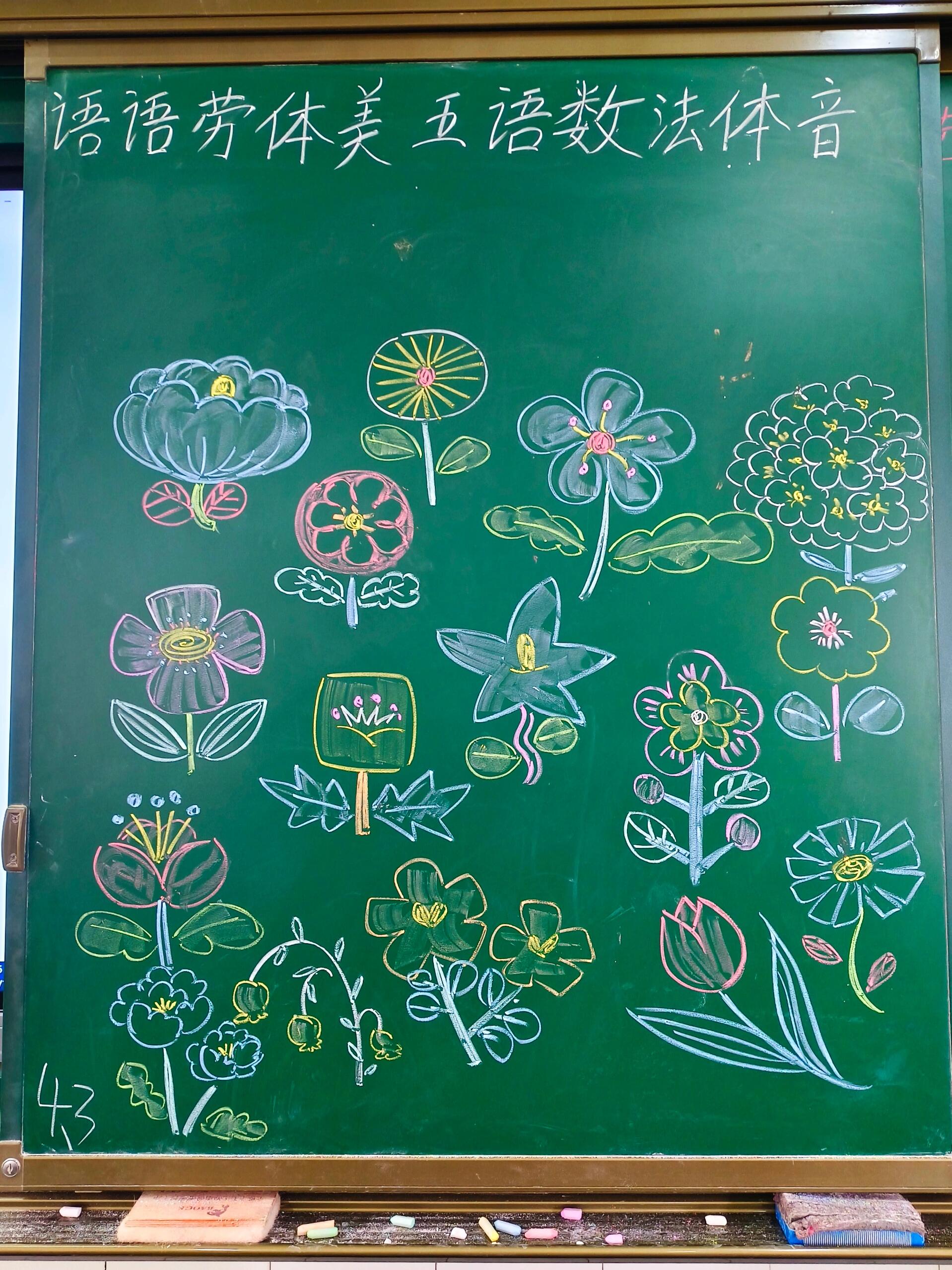 粉笔画——花🌸