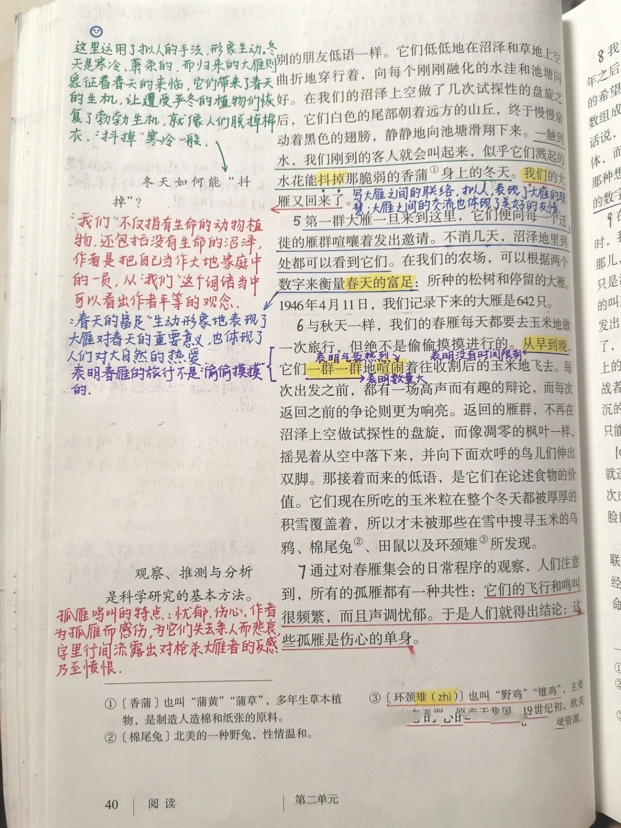 中学教师|备课笔记|部编八下语文《大雁归来》