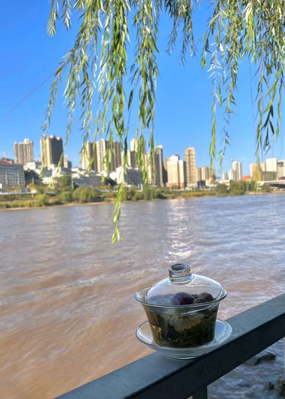 兰州旅游6015一定要留时间享受黄河边三炮台95 93我觉得旅行