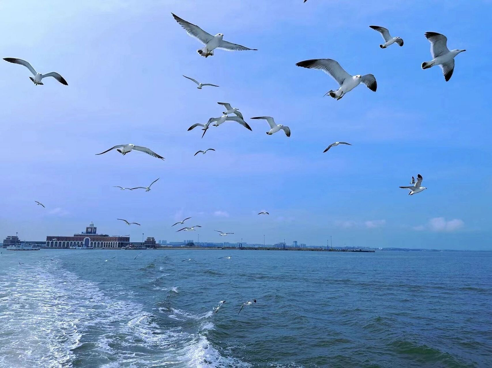 长海县旅游_长海县旅游哪个岛好