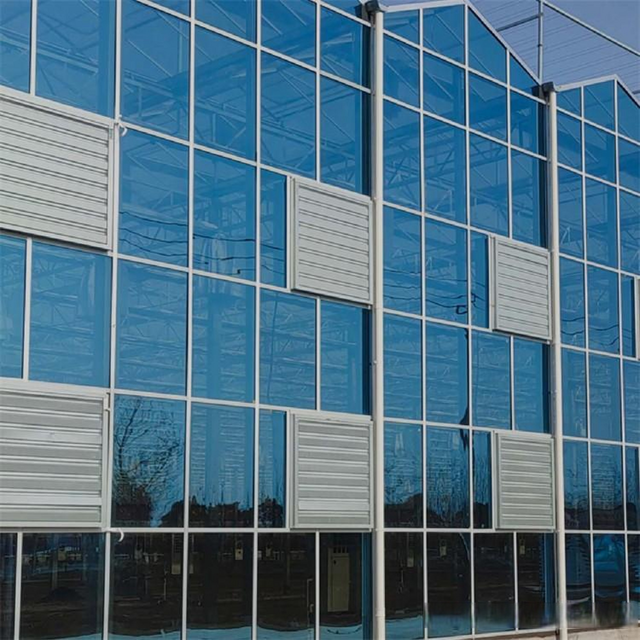 近年来随着农业现代化的推进,玻璃温室的建设逐渐成为了当地农业发展