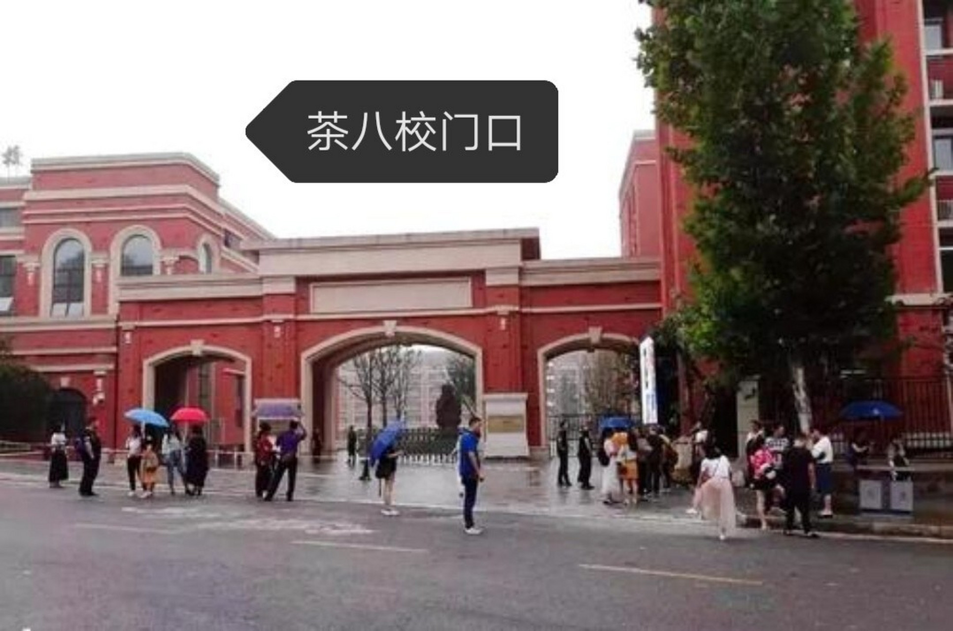 重庆七龙珠之八中—分校区 茶园八中宏帆八中茶园分校坐落在融创欧麓