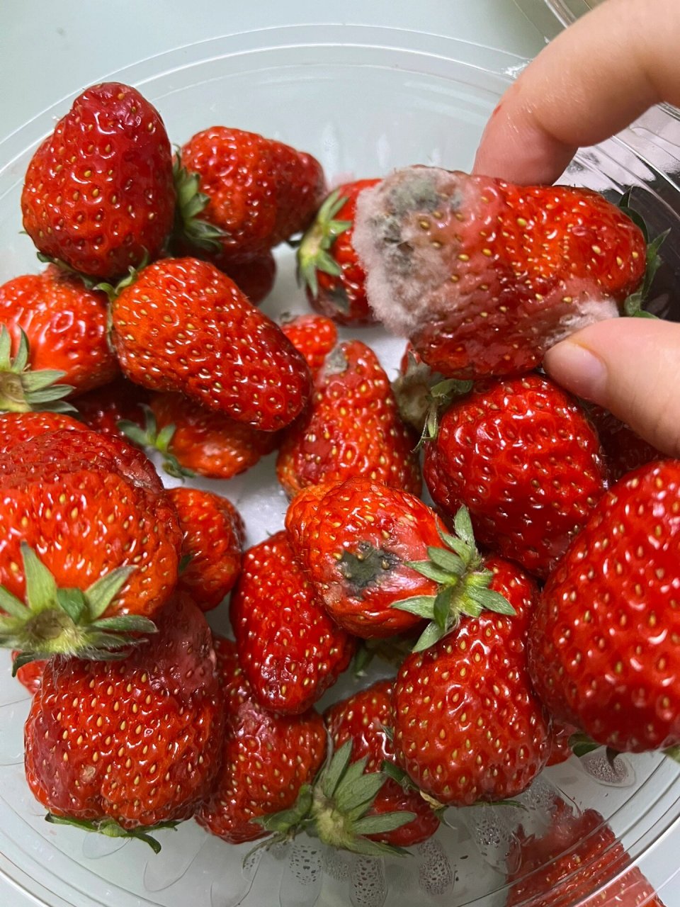 事情这样的 晚上买了草莓28块多一斤 买了一盒 跟我说不怎么酸 回去