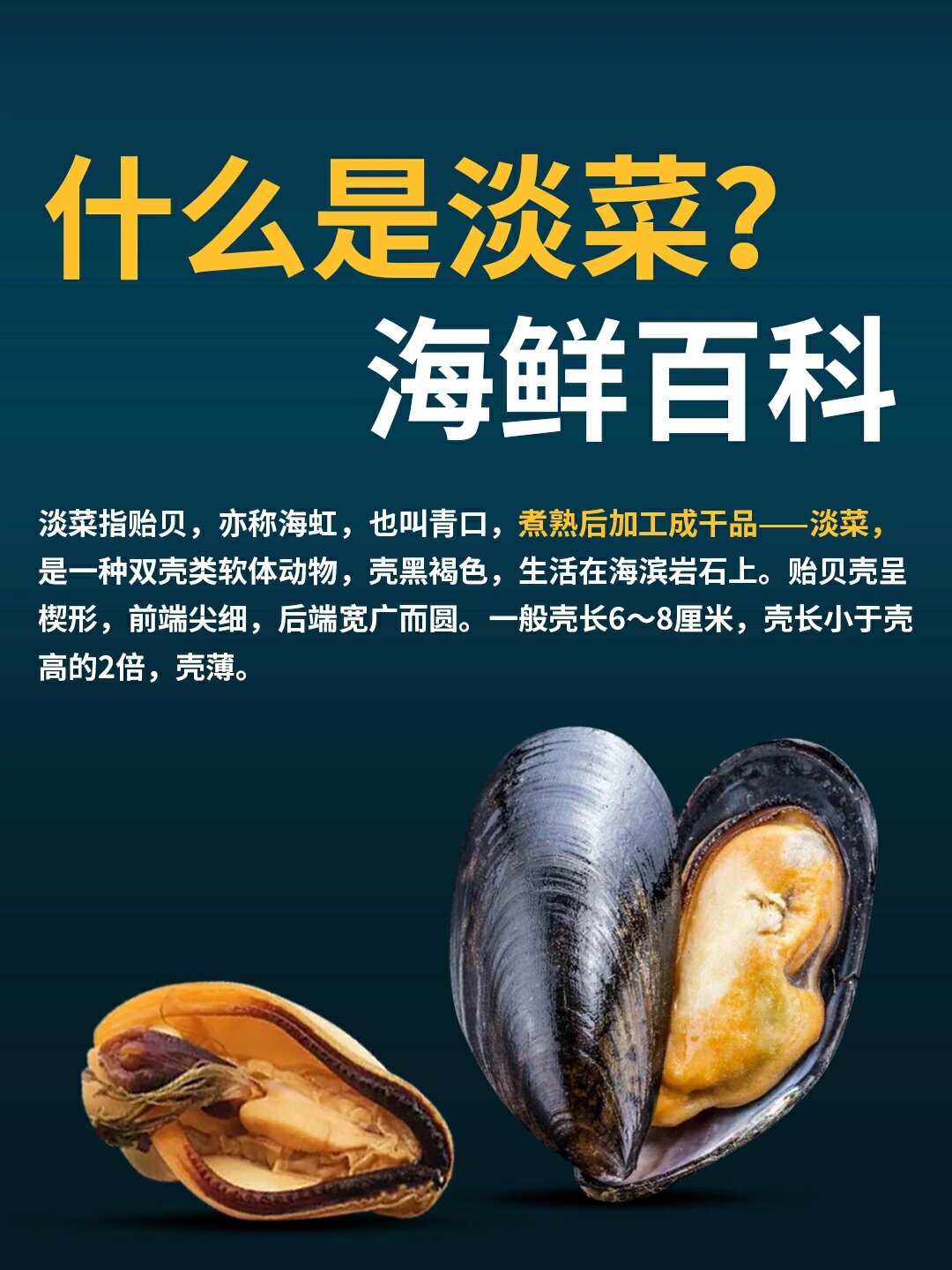 7815海鲜百科 96淡菜指贻贝,亦称海虹,也叫青口,煮熟后加工成干