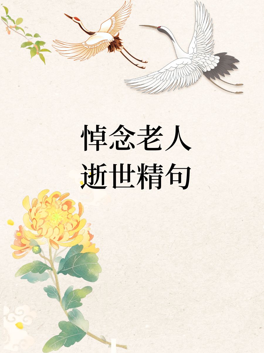 悼念老人逝世精句