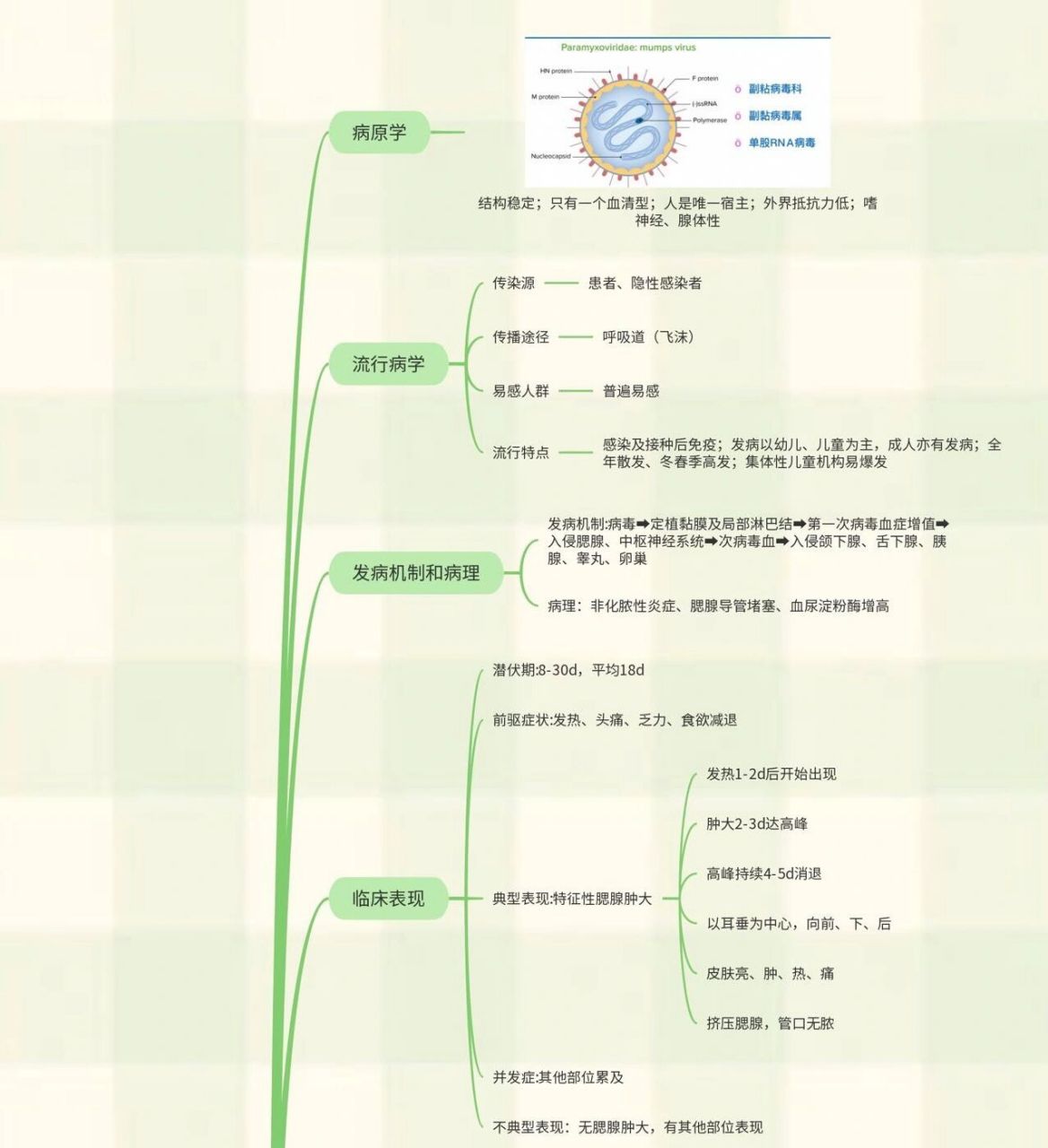 传染病学流行性腮腺炎思维导图