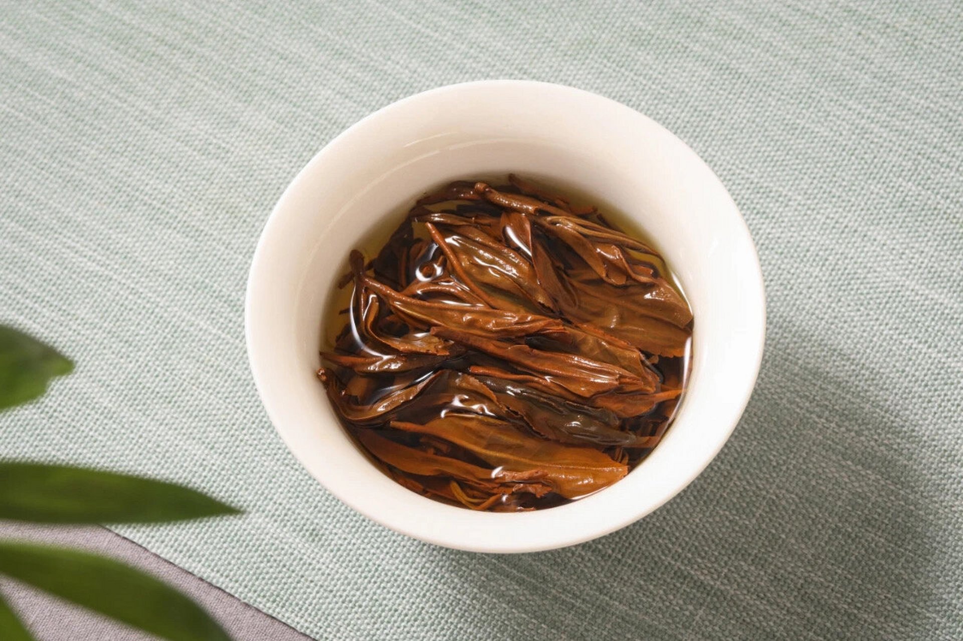 day18|每天认识一款茶之老树松针滇红 云南临沧凤庆核心产区,海拔在