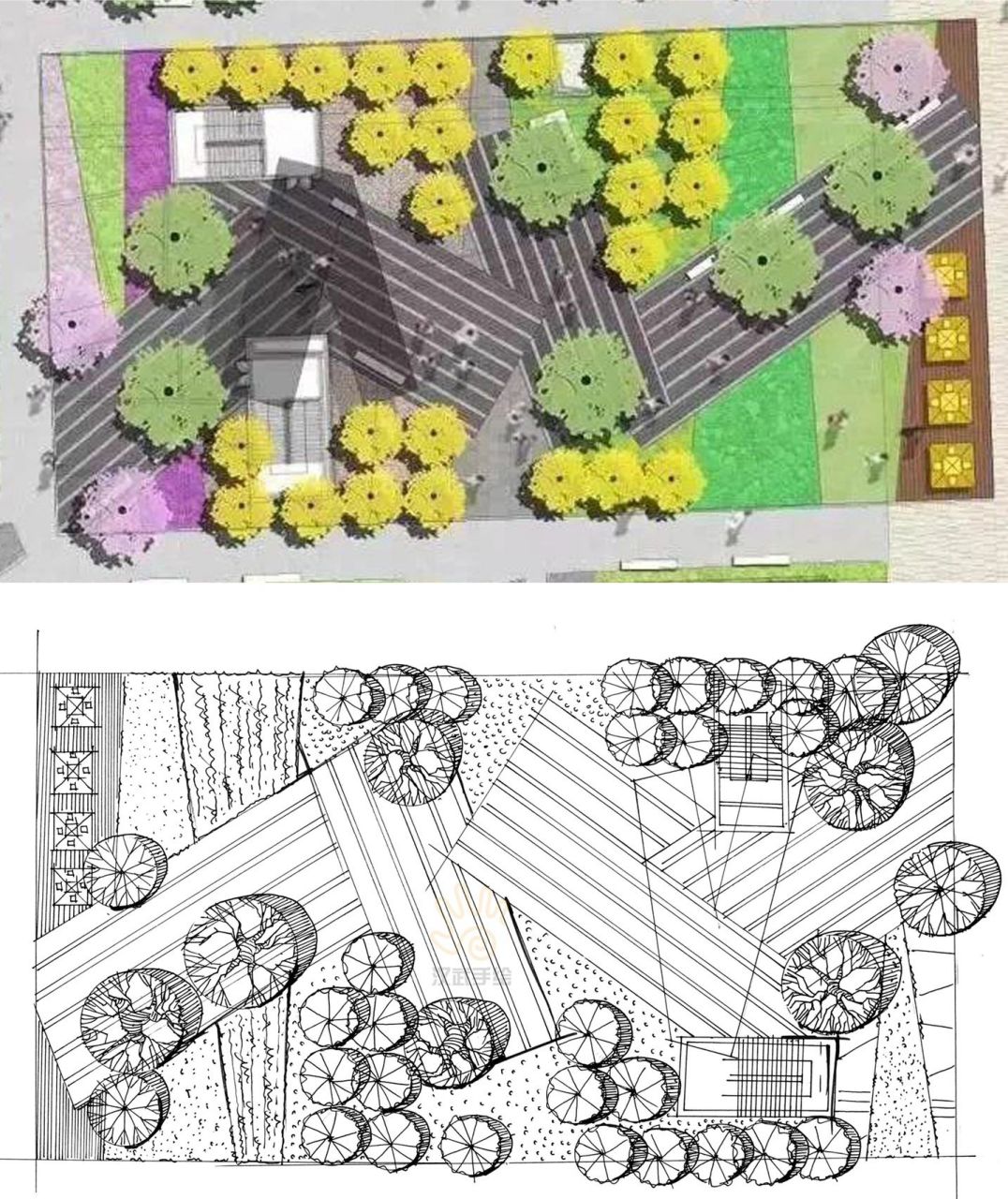 【平面图手绘打卡1期】广场景观平面手绘写生 【平面手绘打卡1期】
