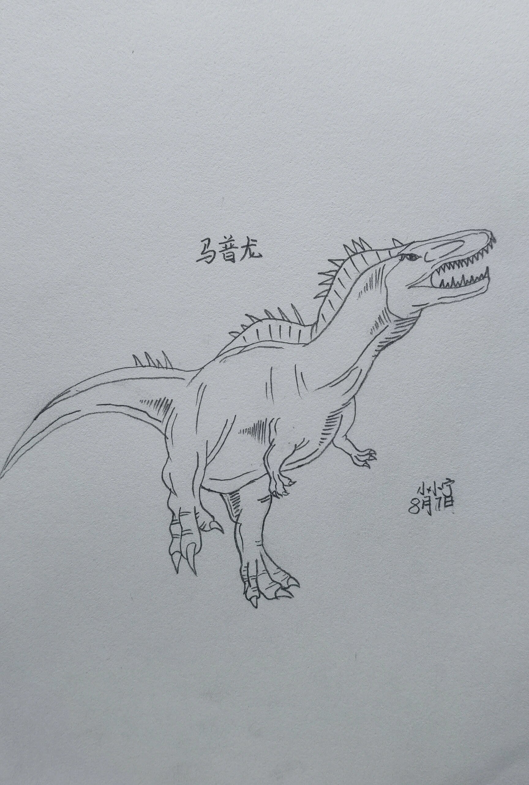 马普龙恐龙系列素描绘画线稿暑假练习