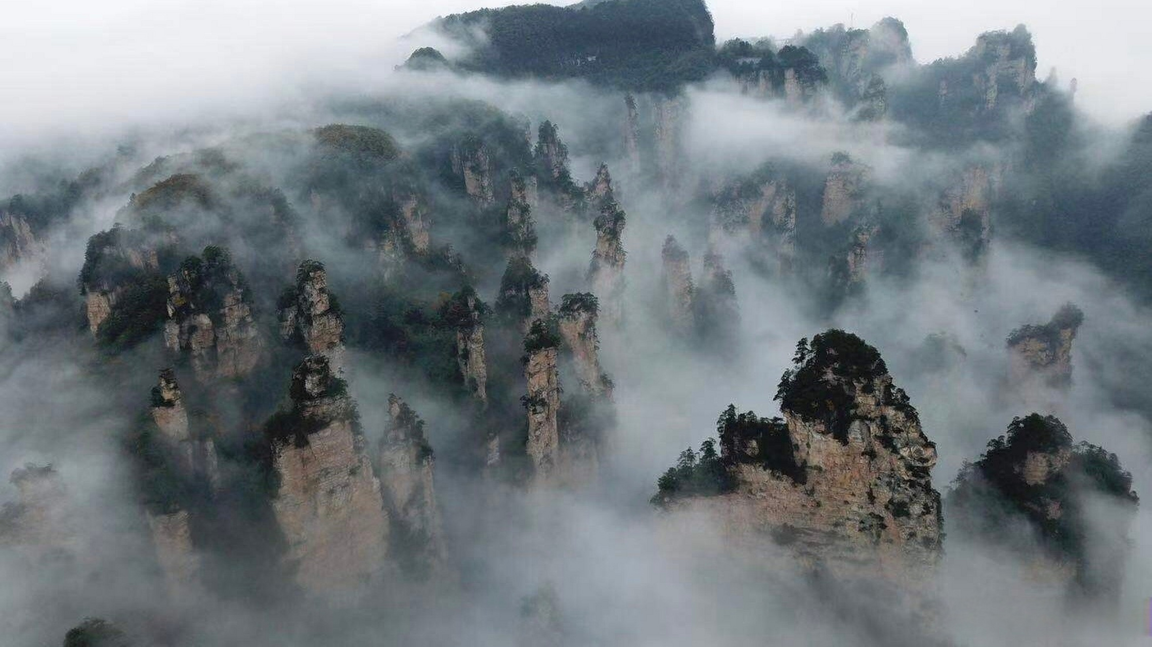 神奇的张家界·云海景观太仙了吧!