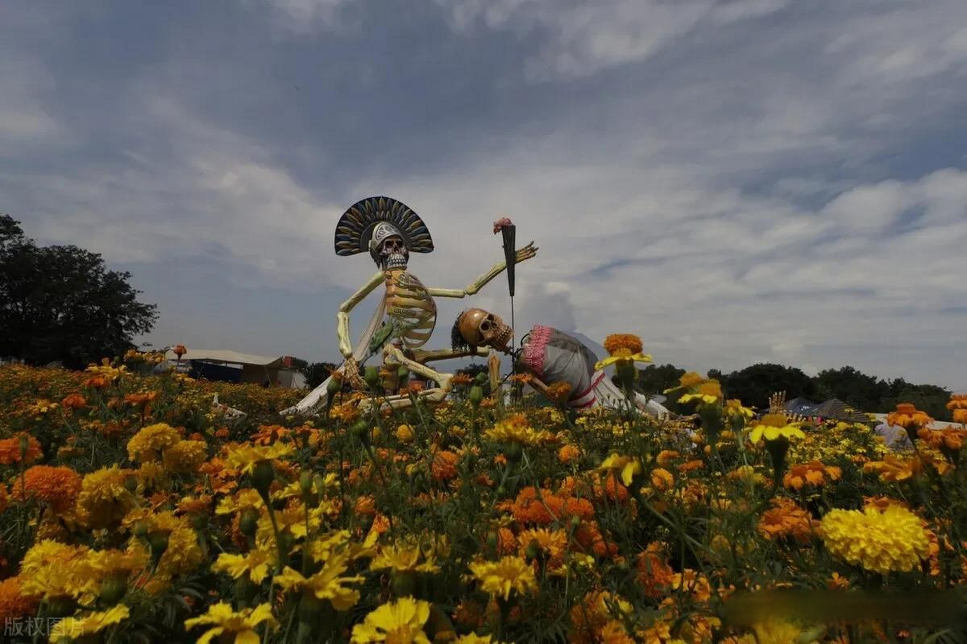 妙笔生花创作挑战亡灵节临近万寿菊装点墨西哥普埃布拉州 当地时间