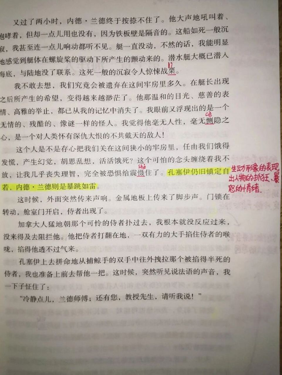 海底两万里第九章批注图片