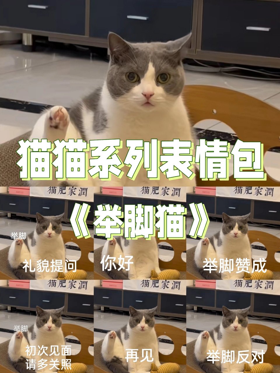 系列表情包礼貌举脚 取图的宝子们礼貌举脚哦