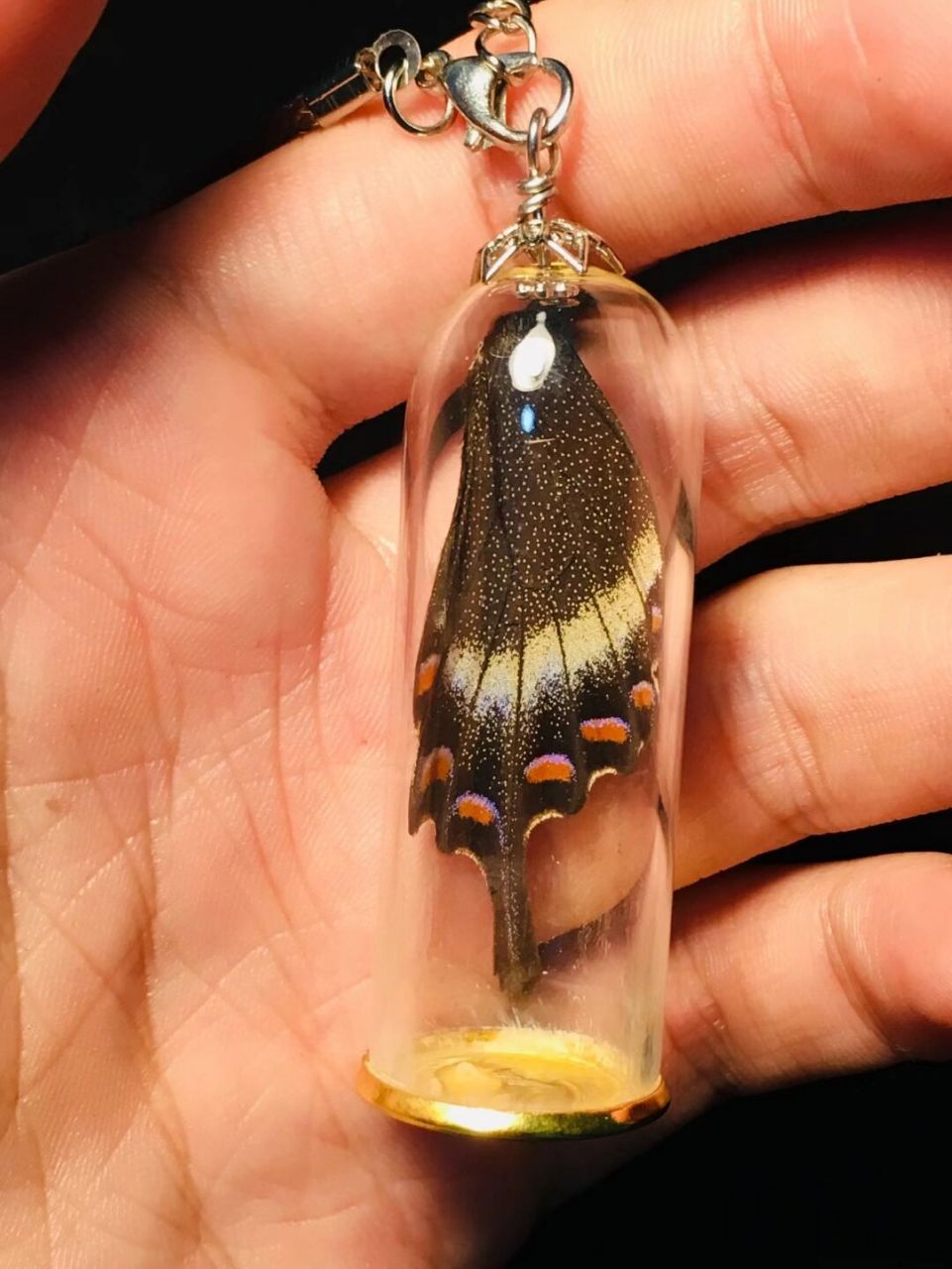 蝴蝶翅膀于玻璃瓶结合成的一件工艺品,可以当做一个有纪念意义的首饰.