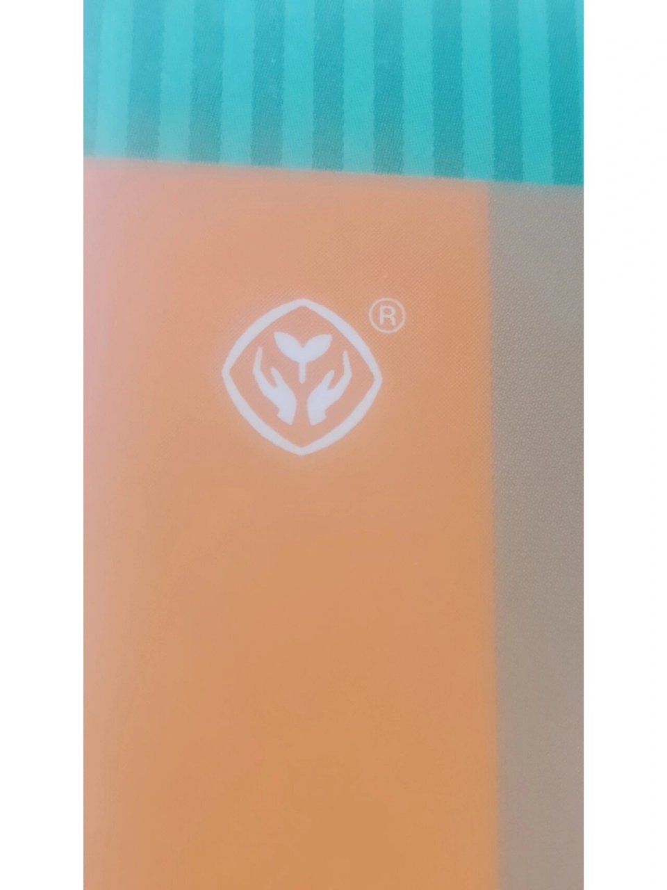 立阳二中校徽 太开心了!在书上发现了立阳二中校徽!