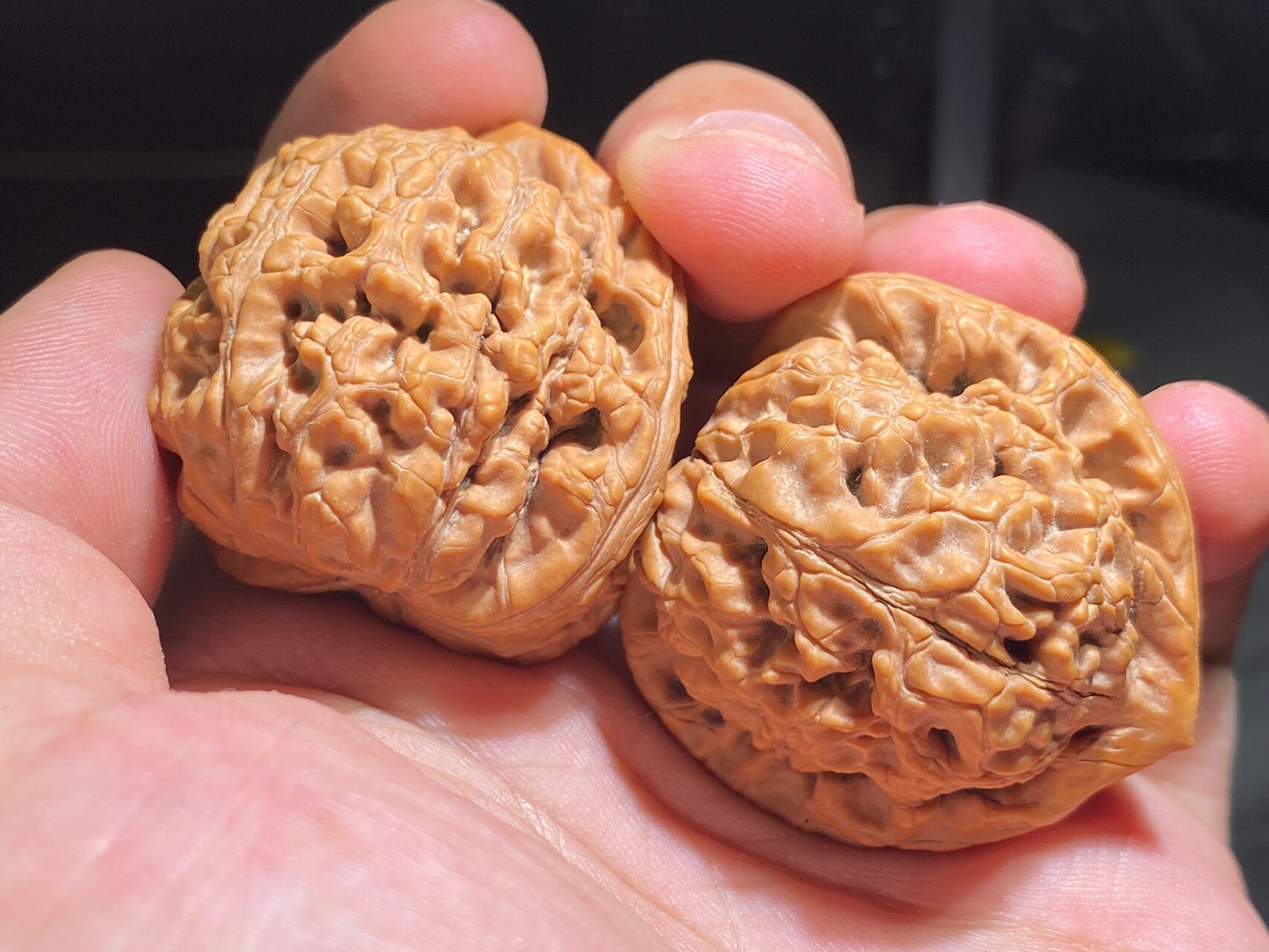 今天给大家介绍一款水龙纹狮子头 这个核桃的话是以核桃纹路命名的