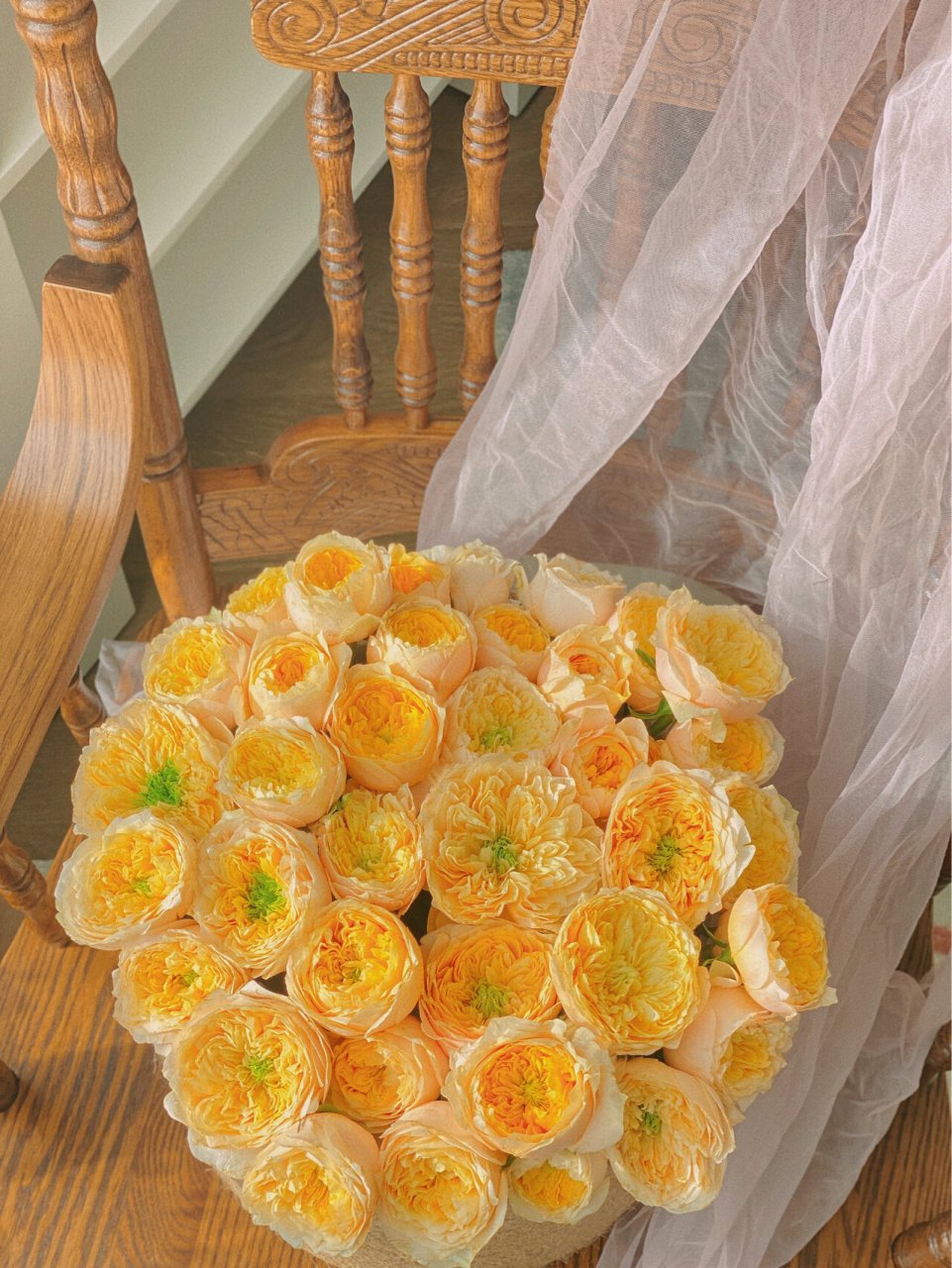 玫瑰和爱一样温柔 |网购鲜花 多头黄蝴蝶 养了很多次黄蝴蝶,这次最