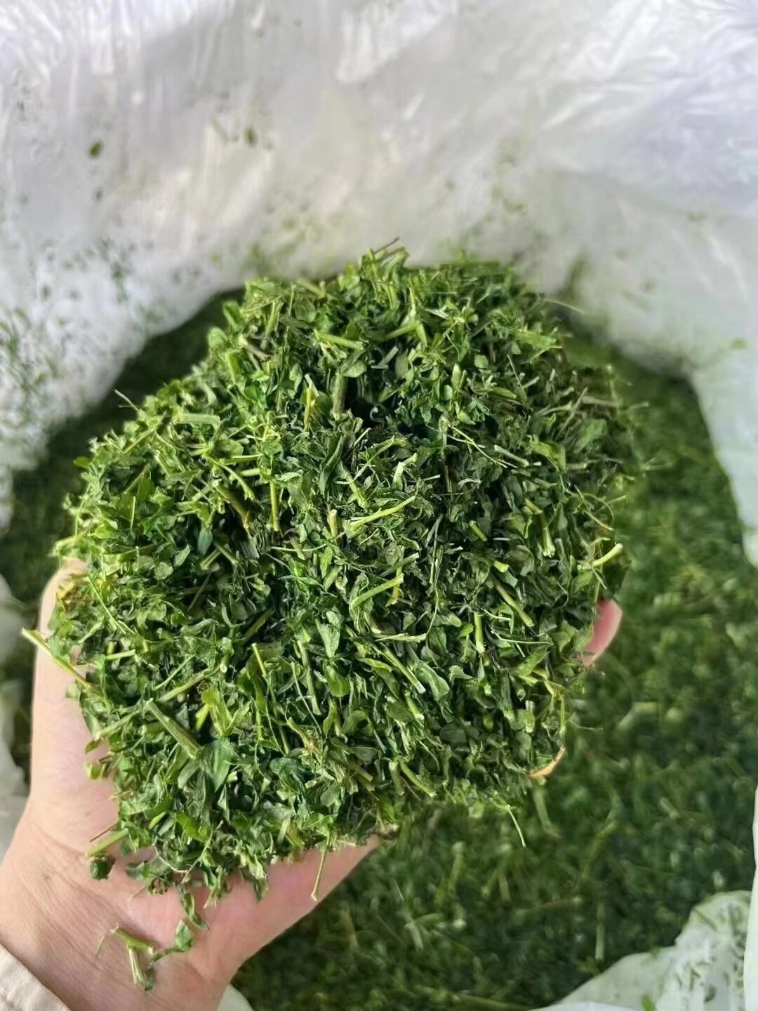 野生护肝茶具有补气 野生护肝茶 具有补气,养血,生津止渴,降低血糖和