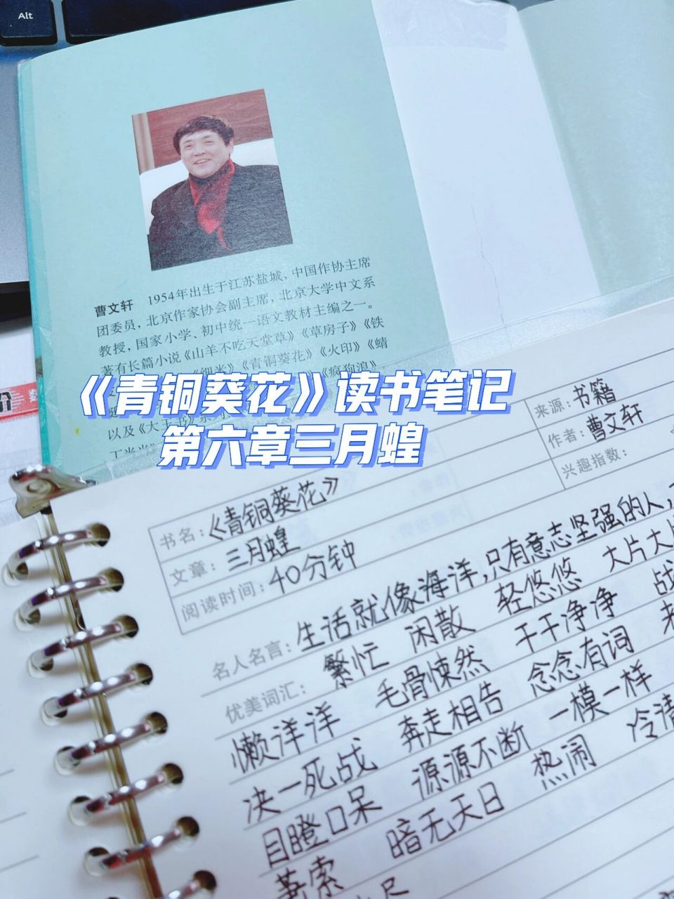 《青铜葵花》读书笔记第七章三月蝗 看了青铜和葵花就觉得为什么好像