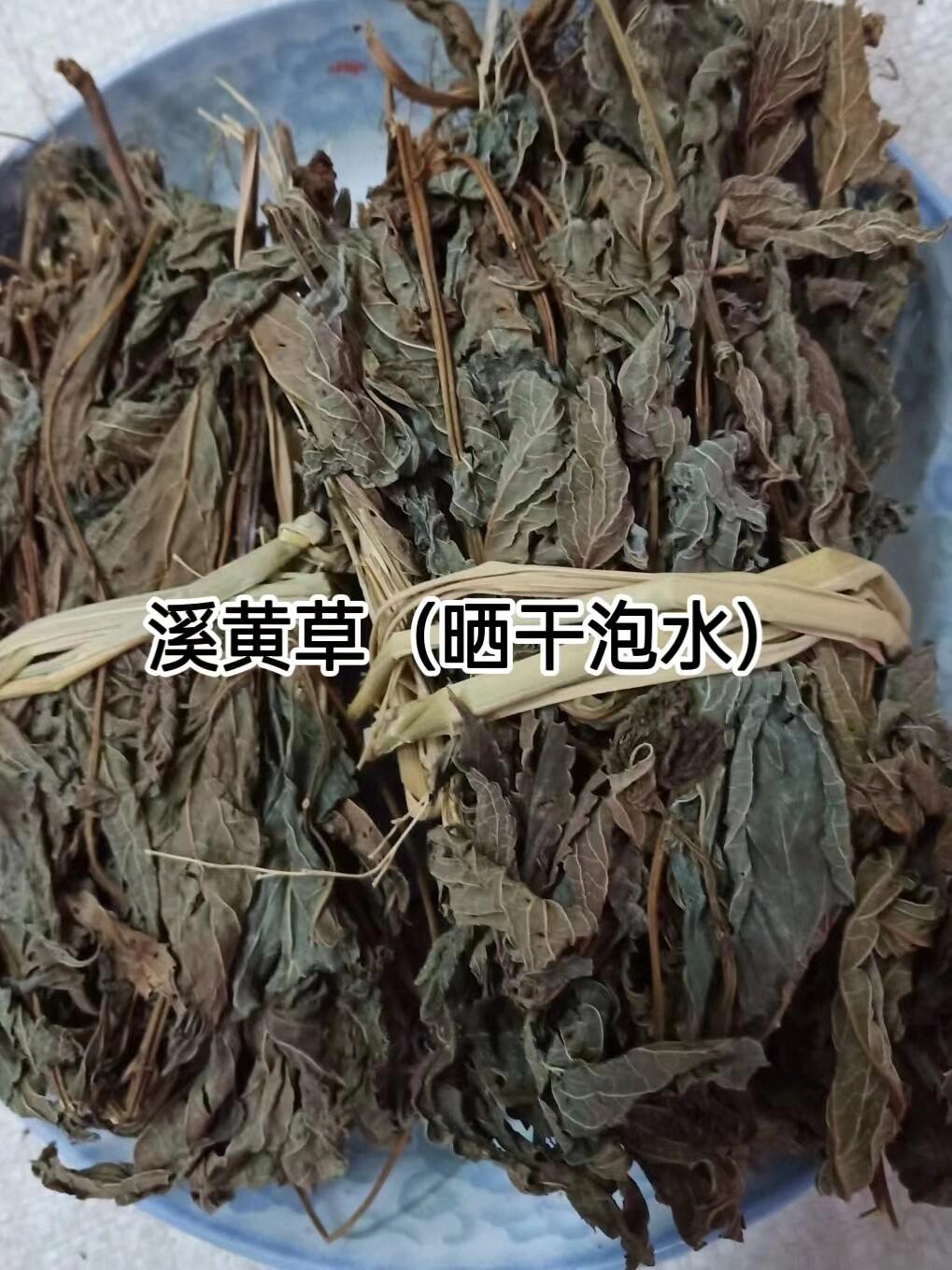 科普中91药【溪黄草】一味清热解毒92 【溪黄草】 82溪黄草为一