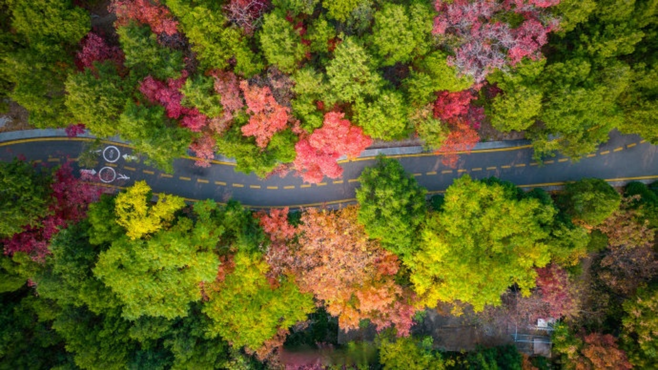 济南初冬有多浪漫#初冬的济南七里山,秋意更加的浓郁,漫山松柏间不