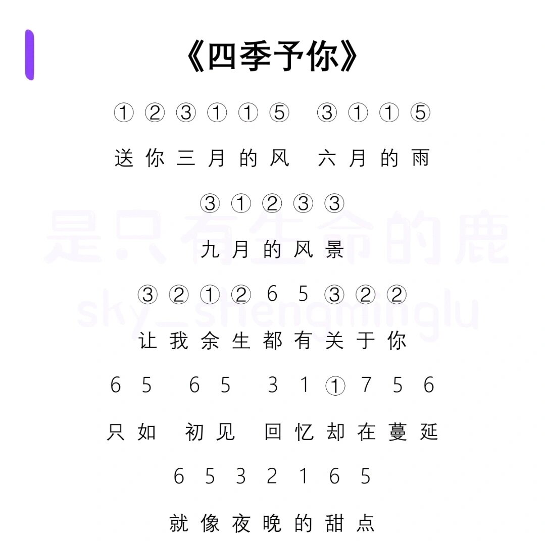 光遇琴谱《四季予你》