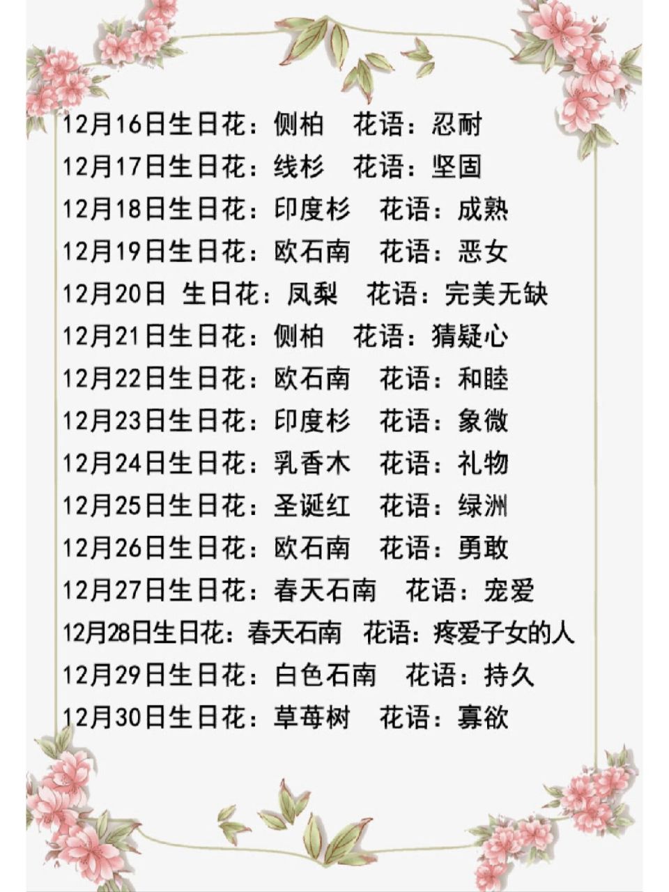 365天每天都有生日花,你属于哪一个呢?