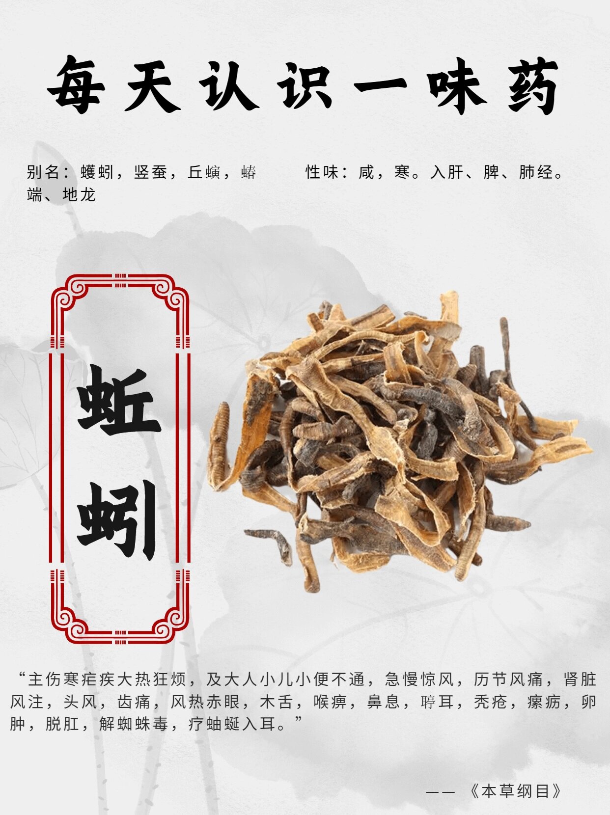 每天认识一味药【蚯蚓】地龙