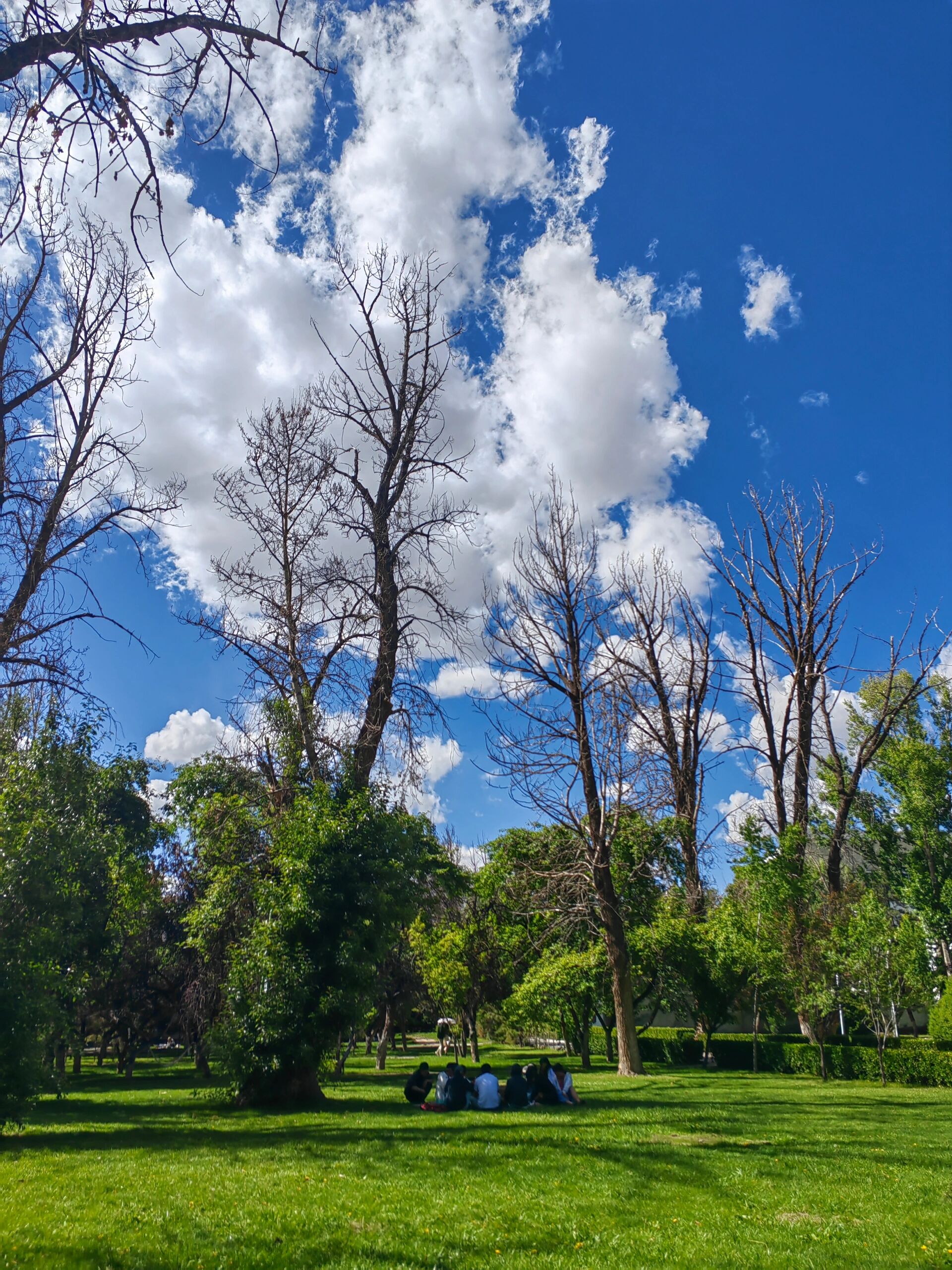 曲水天气在线 曲水天气在线