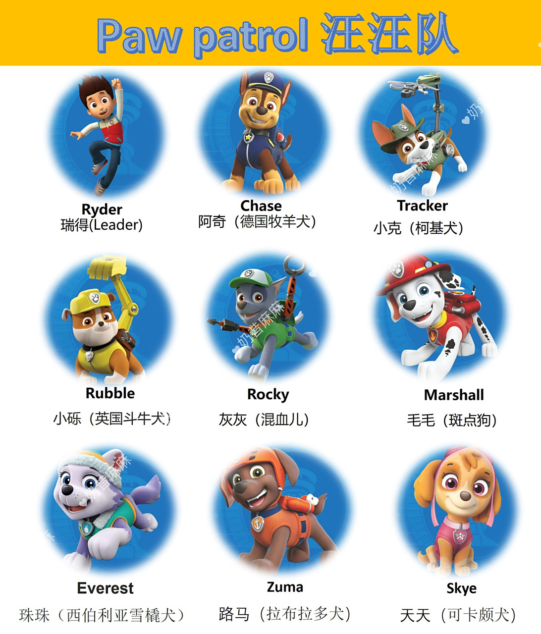 汪汪队英语启蒙 paw patrol 汪汪队 汪汪队一共有八