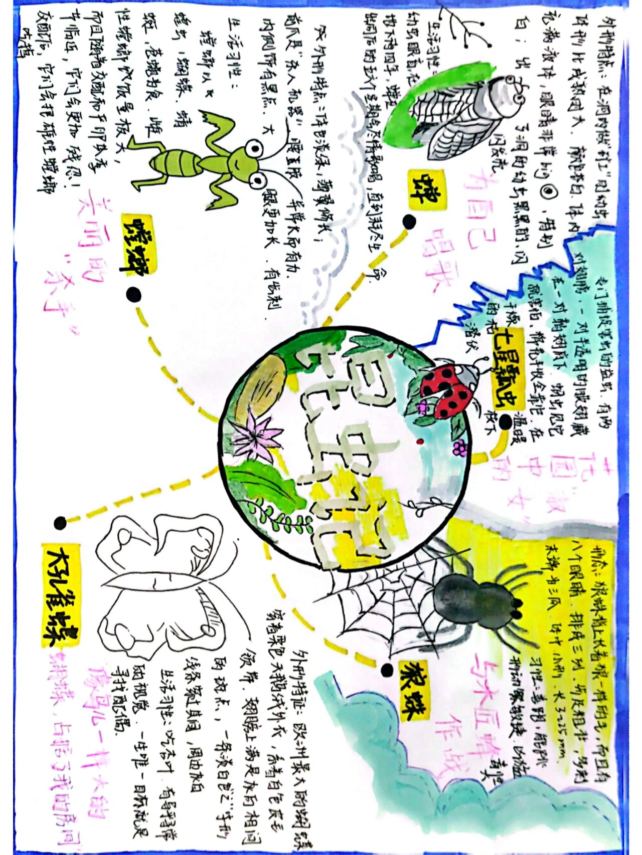 《昆虫记》思维导图分享