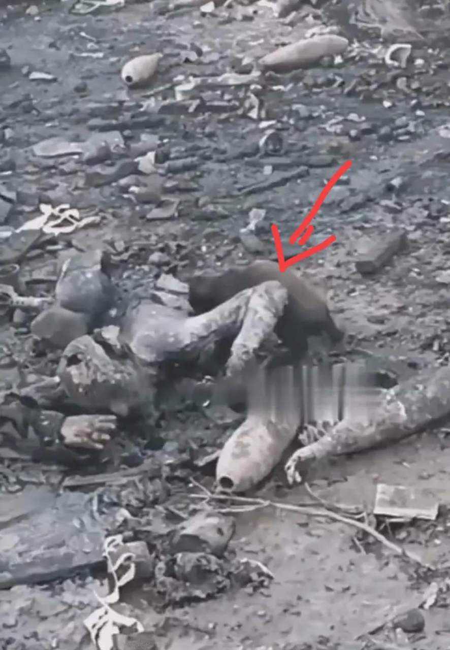 这是俄乌战场最残忍一幕画面,被战火焦黑的土地上,静静的躺着一个尸体