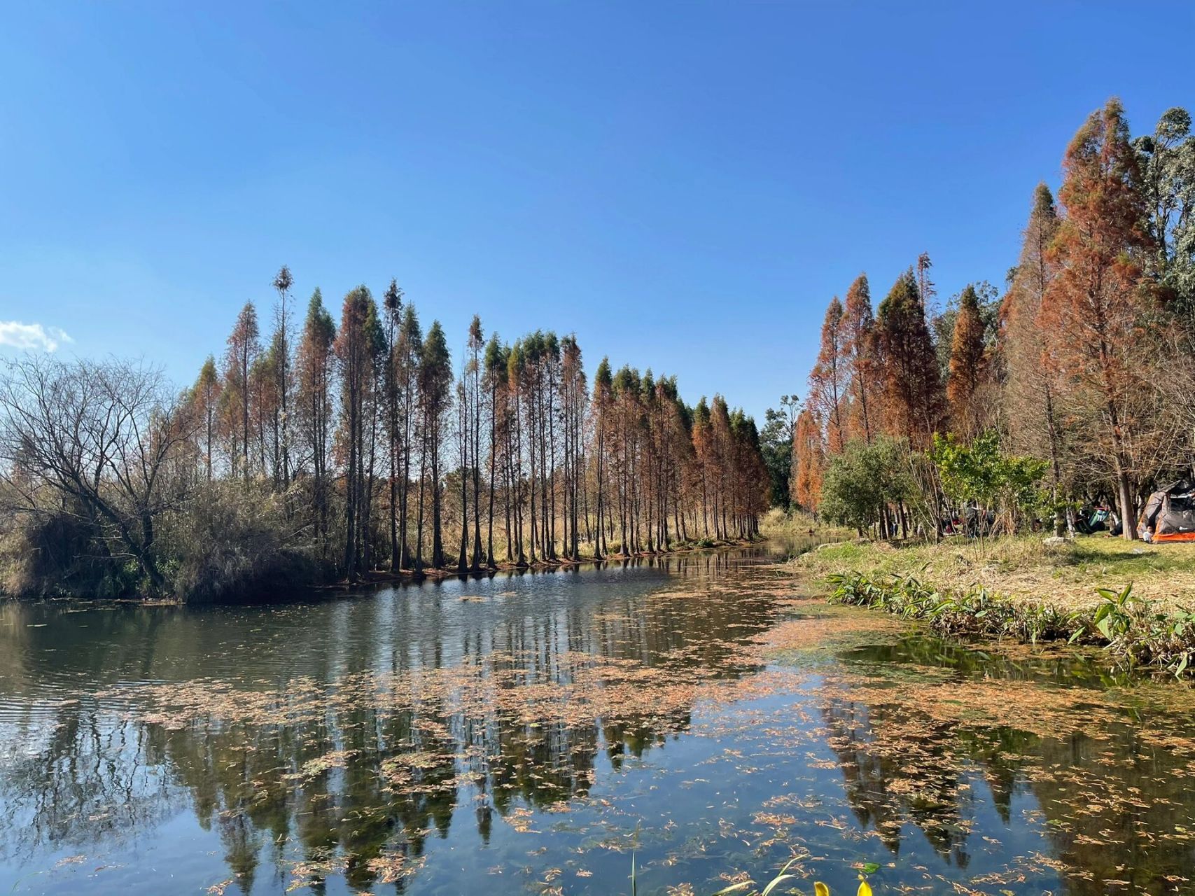 晋宁湿地公园图片