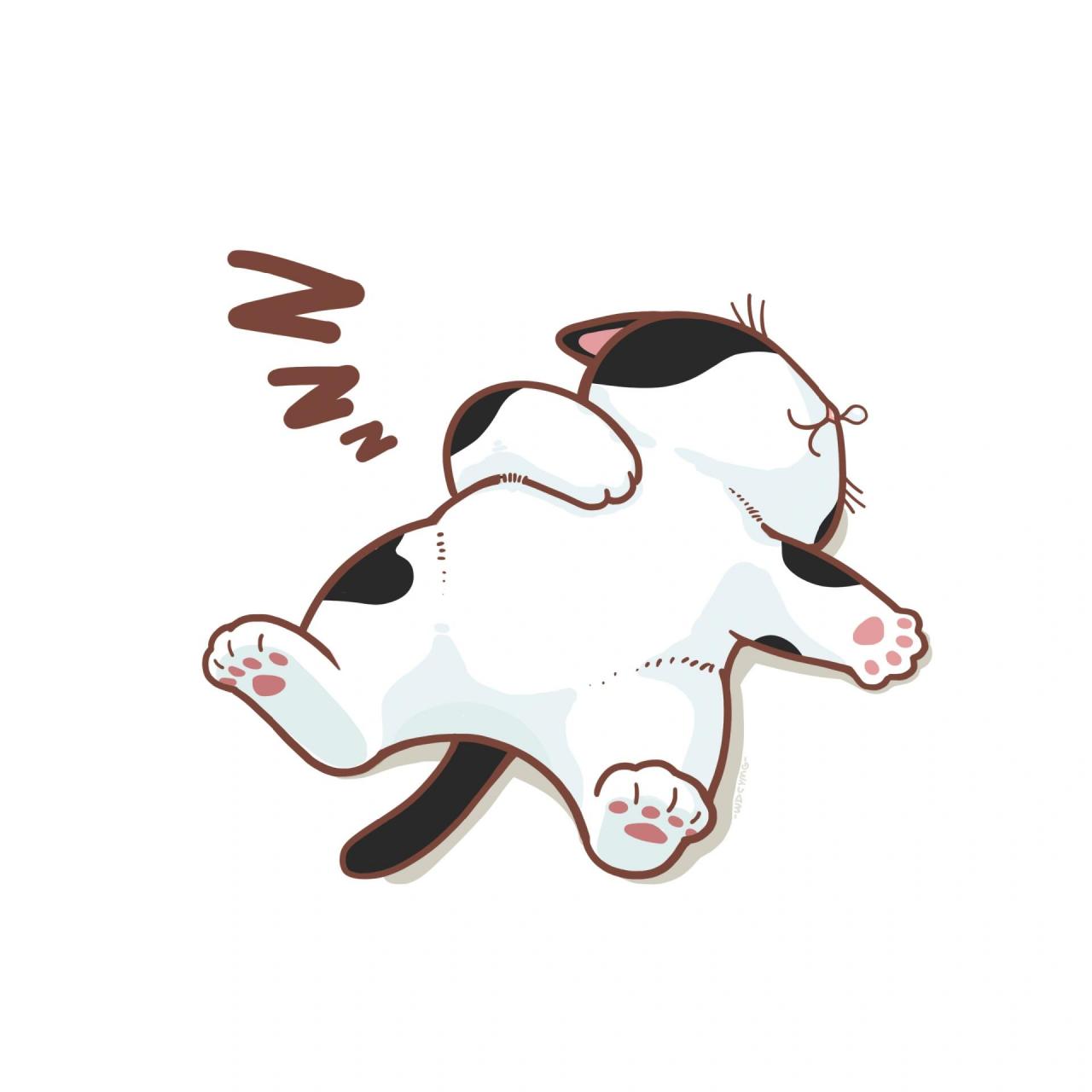 睡觉小猫 睡不醒睡不着,根本睡不醒9893 睡觉小猫头像表情送给