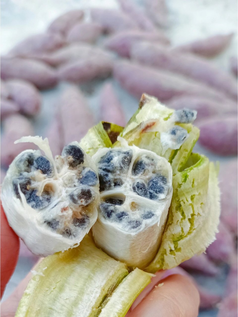 有籽香蕉 其实是芭蕉啦 口感像是酸酸甜甜的八月瓜,如果不介意吐籽