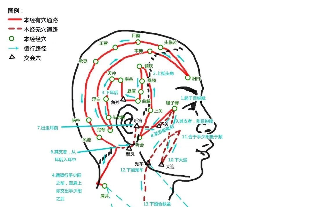 一图学经络