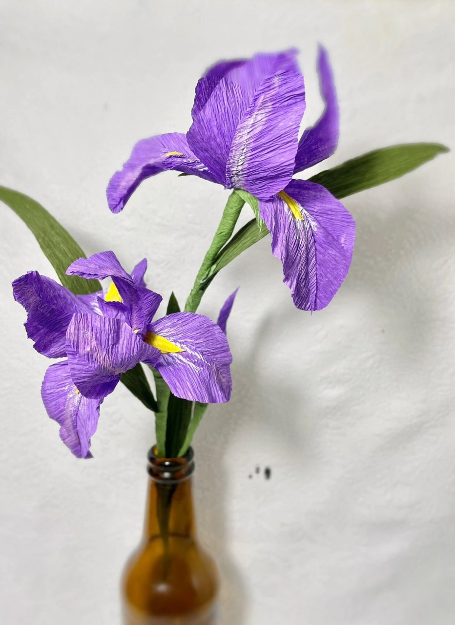 皱纹纸|鸢尾花 #笔记灵感# #手工# #皱纹纸花# #我的手工日常# #鸢尾