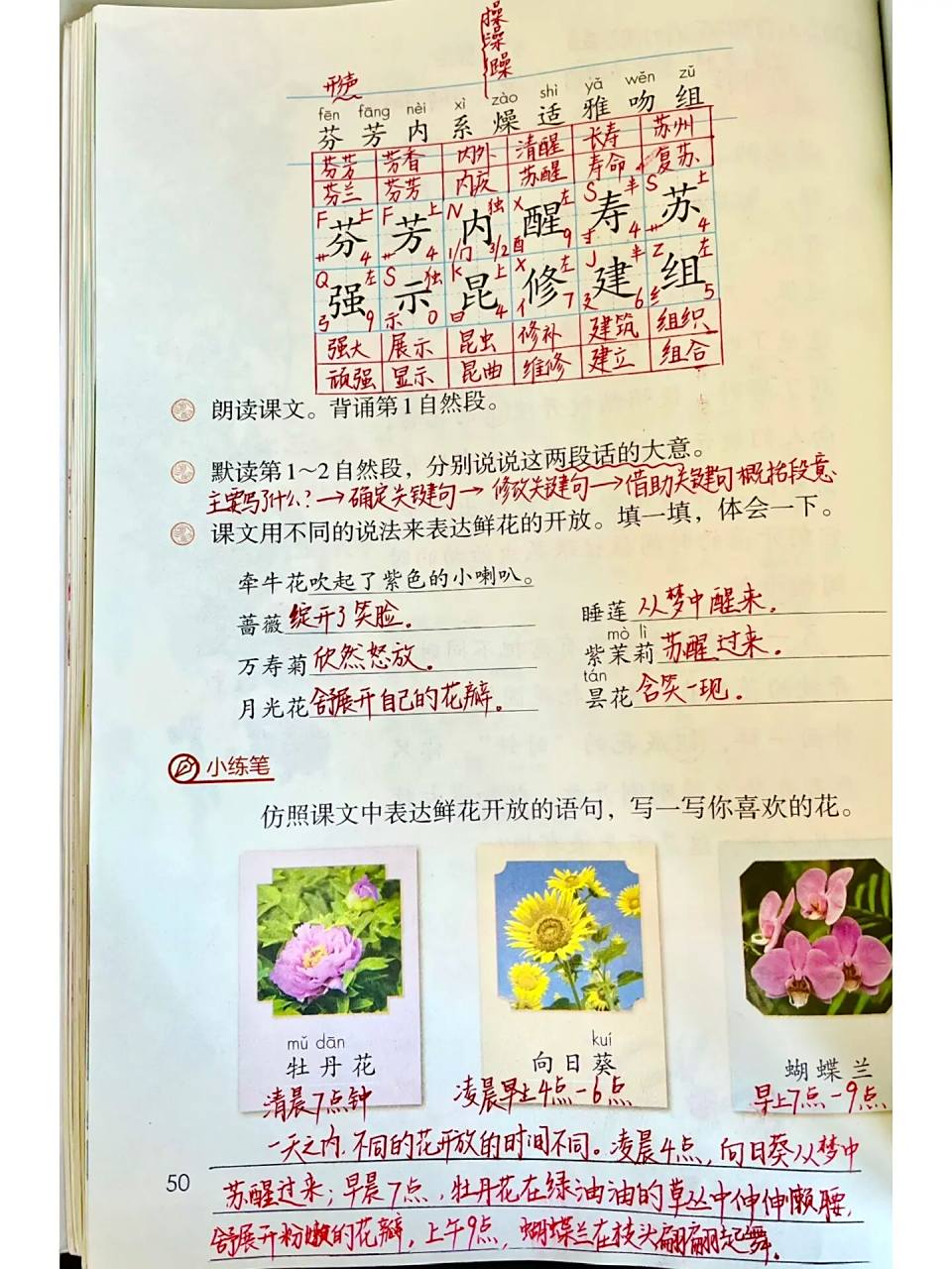 三下语文13课花钟 备课批注预习笔记