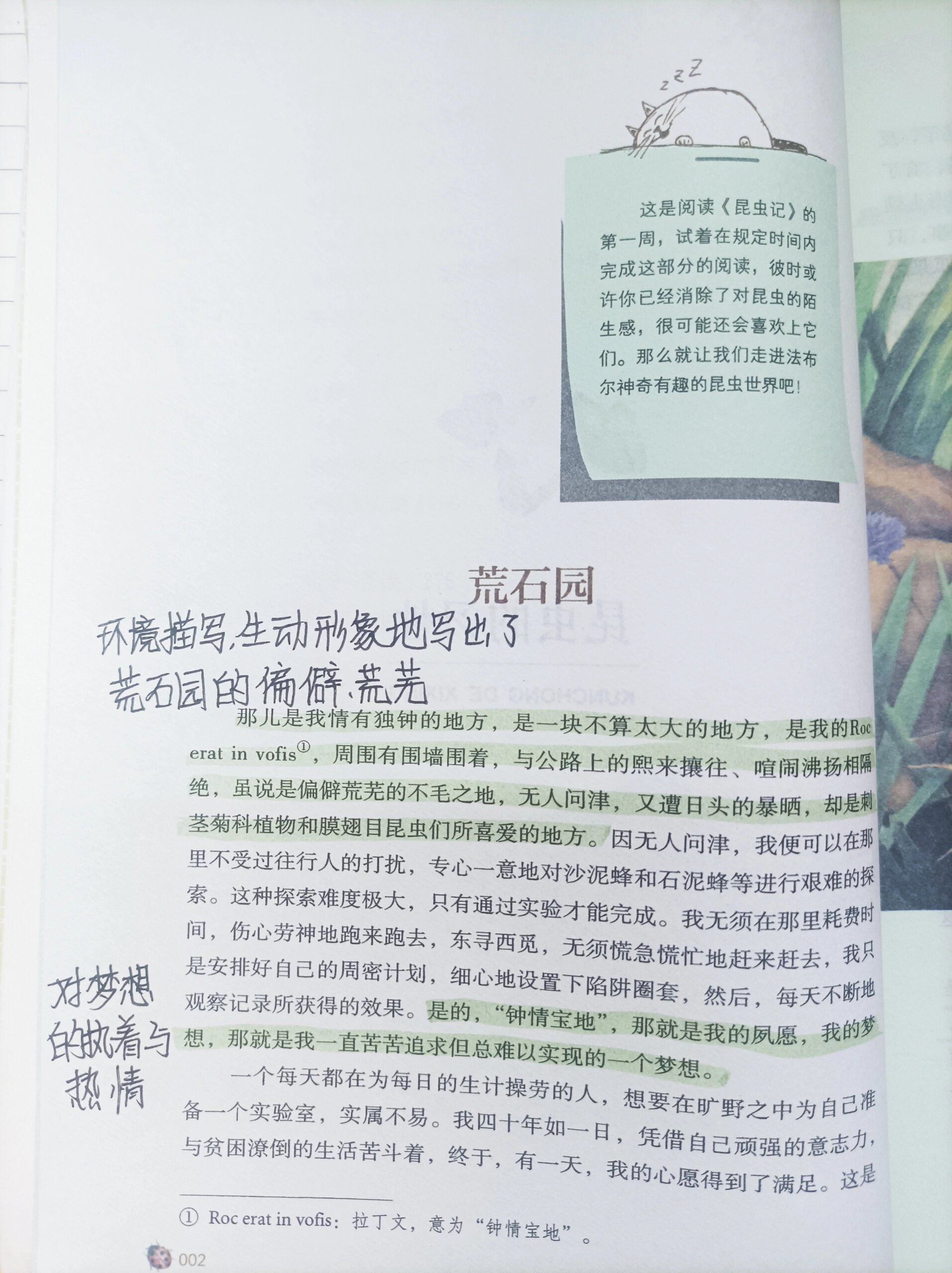 《昆虫记》荒石园