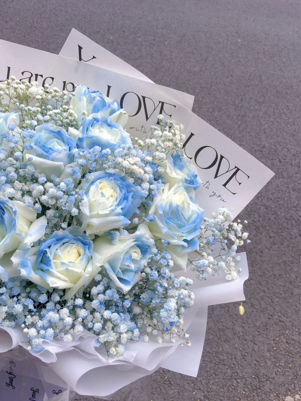 11支碎冰蓝白玫瑰满天星花束 清新一夏