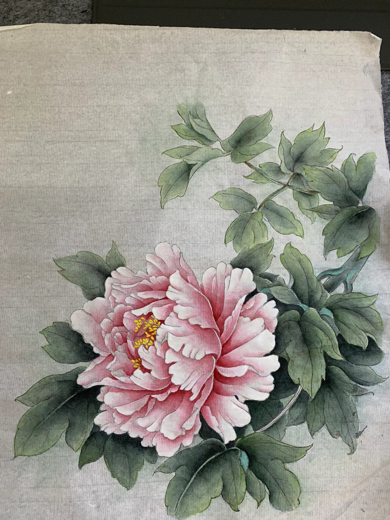 工笔花鸟|完成稿