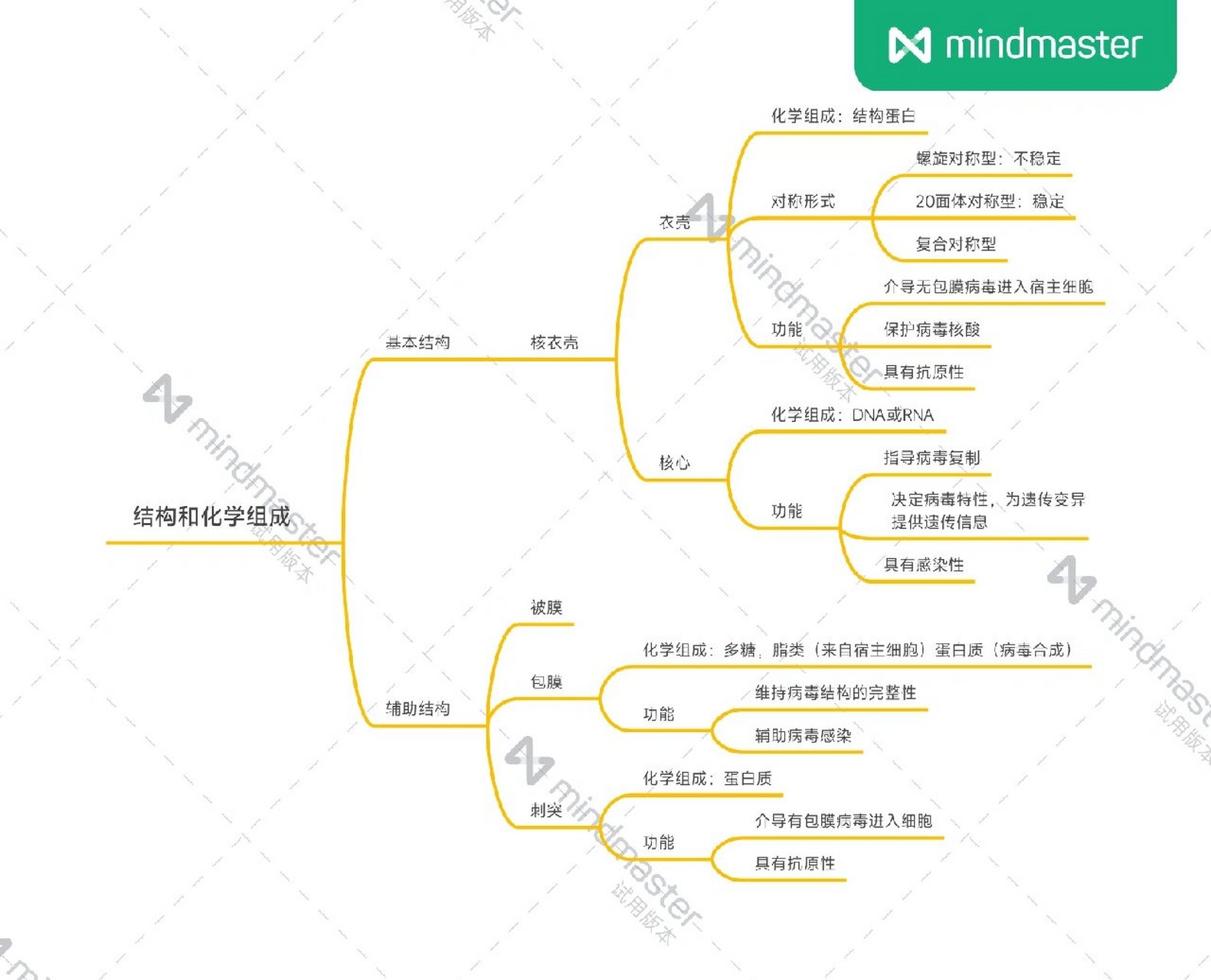 抗疫病毒的思维导图图片